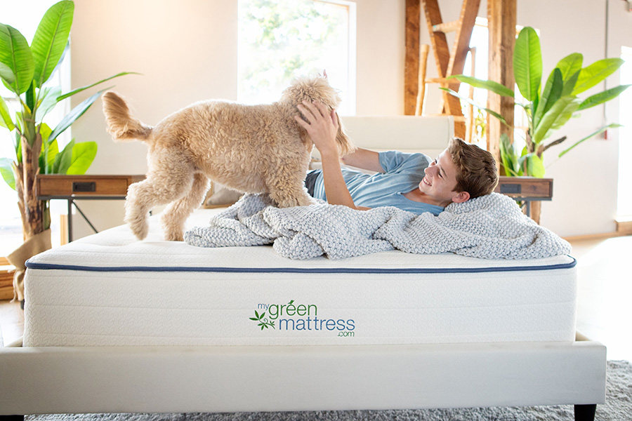 Kiwi Organic Mattress by My Green Mattress