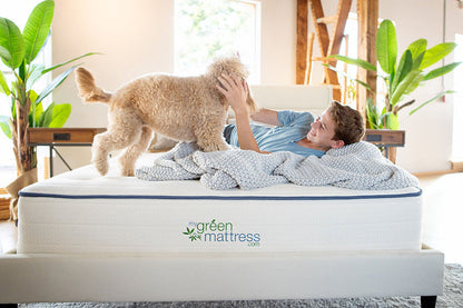 Kiwi Organic Mattress by My Green Mattress