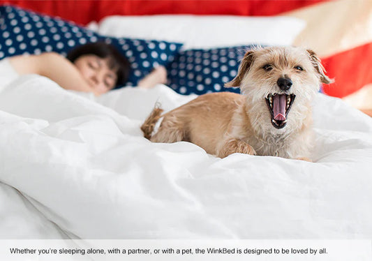 WinkBed Plus